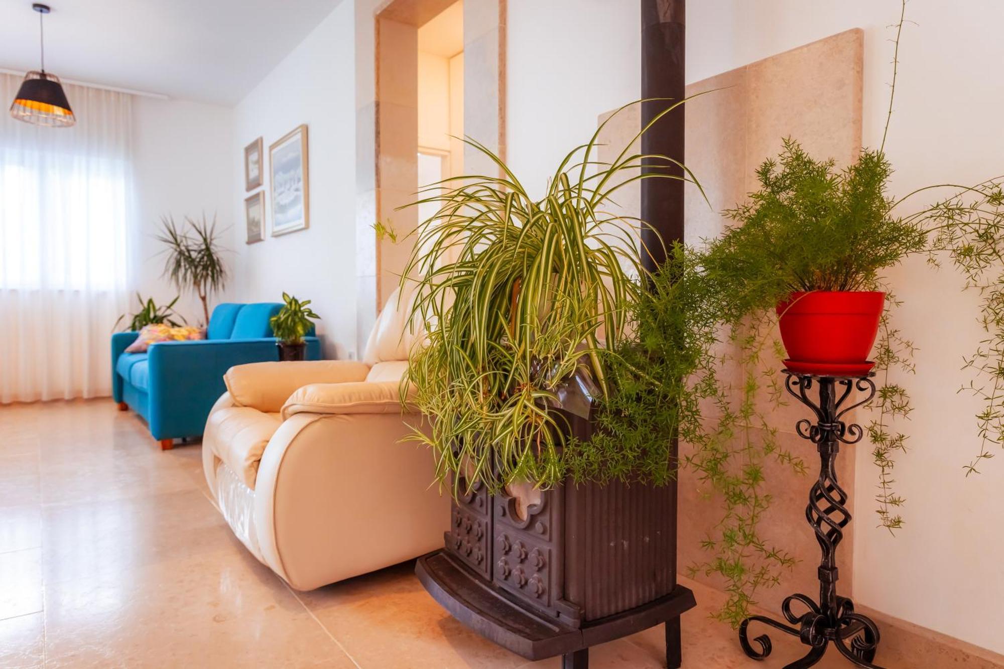 Villa Nevera Omišalj Dış mekan fotoğraf